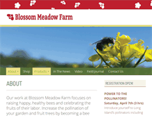 Tablet Screenshot of blossommeadow.com